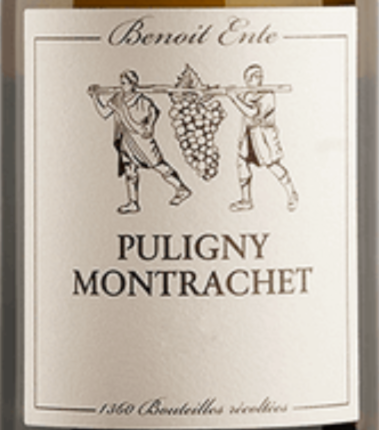 2024.08.05 타운와인 pick - Benoit Ente Bourgogne Blanc 2019