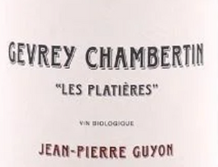 Domaine Jean-Pierre Guyon Gevrey Chambertin 'Les Platières' 2023